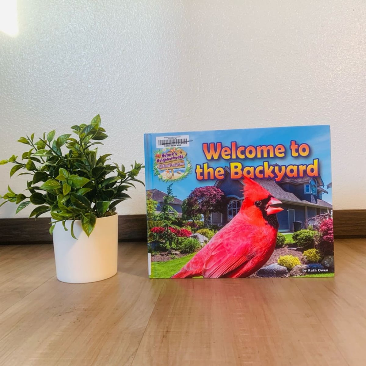 Welcome to the Backyard by Ruth Owen