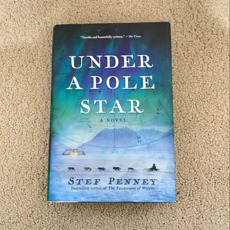 Under a Pole Star