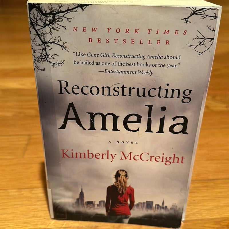 Reconstructing Amelia