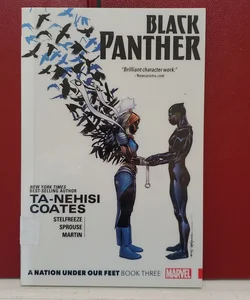 Black Panther: a Nation under Our Feet Book 3