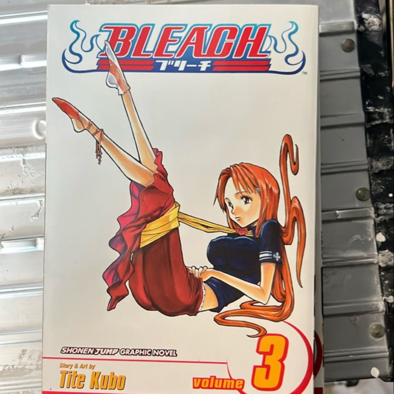 Bleach, Vol. 3