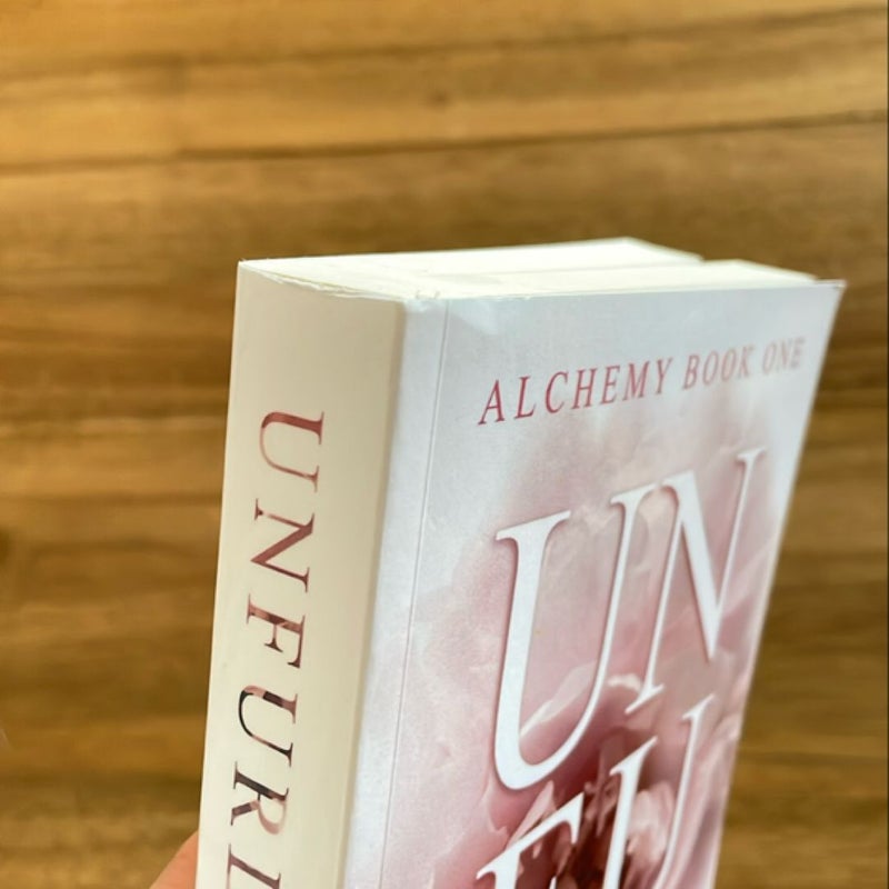 Unfurl: a Hot Age Gap Romance