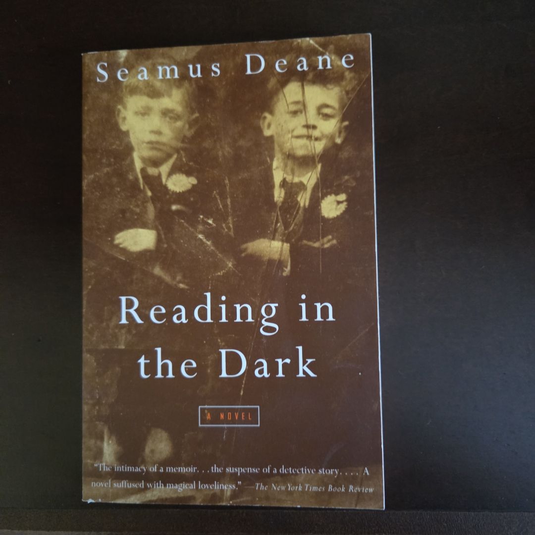 Reading in the Dark