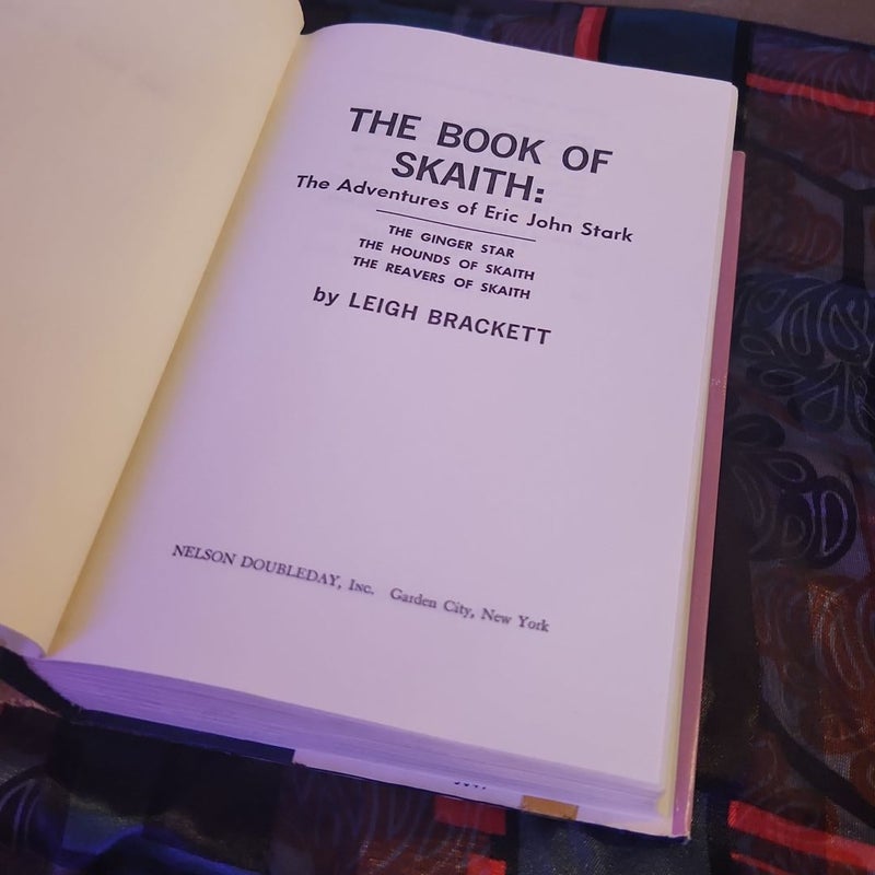 the book of skaith: the adventures of eric johnson