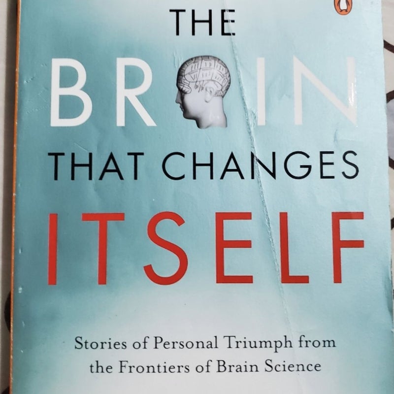 The Brain That Changes Itself