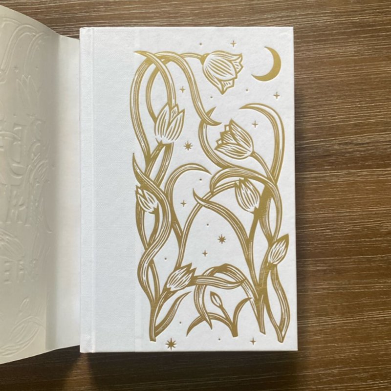 The Beautiful Maddening