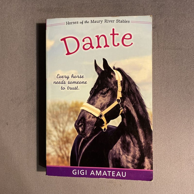 Dante: Horses of the Maury River Stables