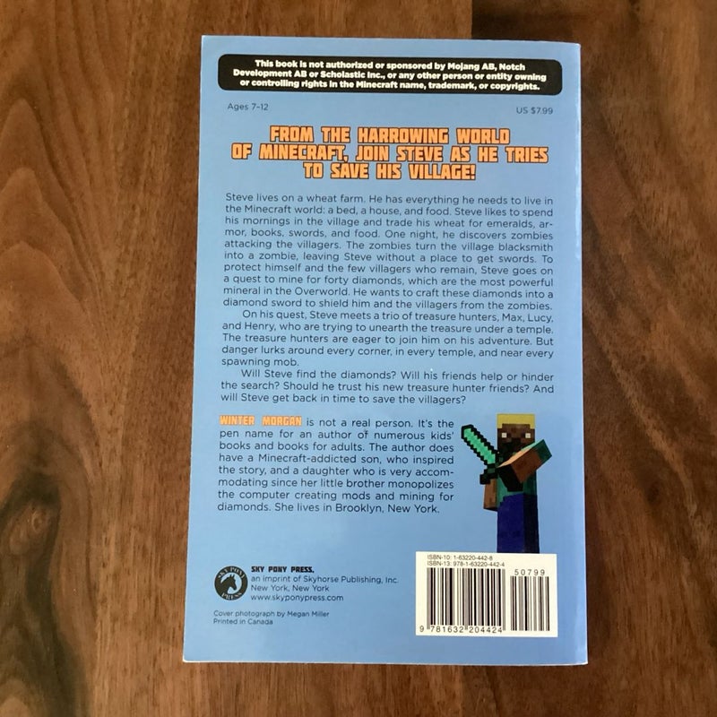 The Quest for the Diamond Sword