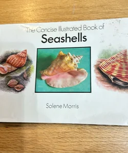 Concise Illustrated Book of Seashells