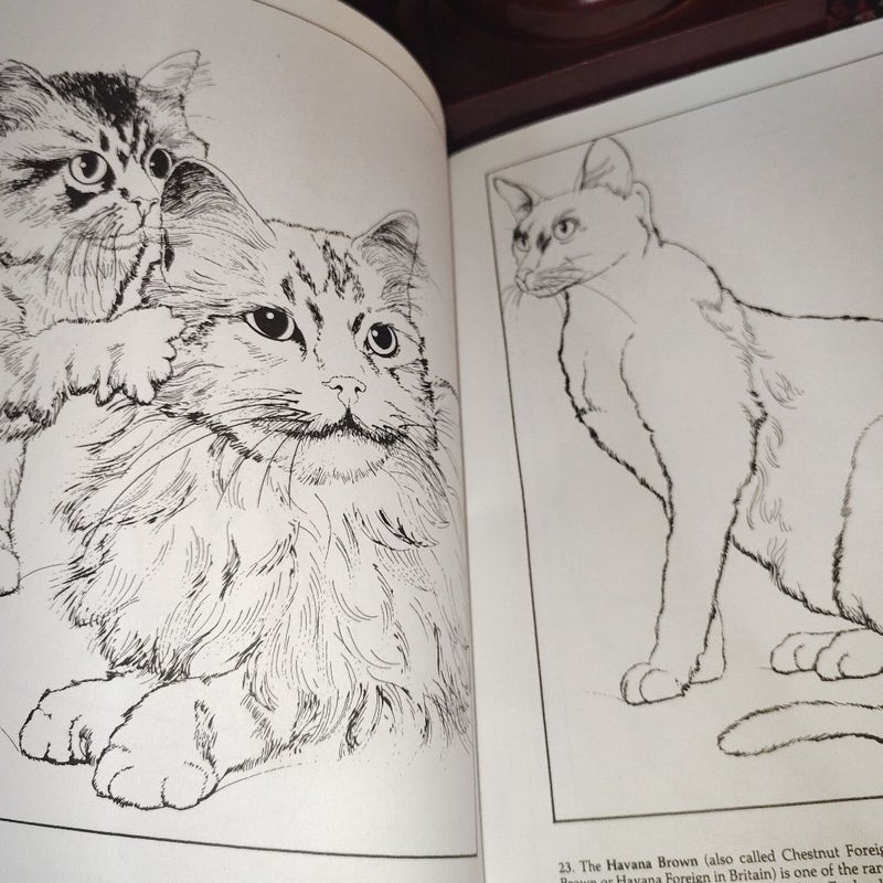 Coloring book bundle: Holiday, Animals & Character fun!