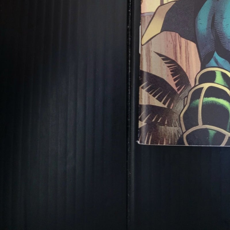 Black Panther #25