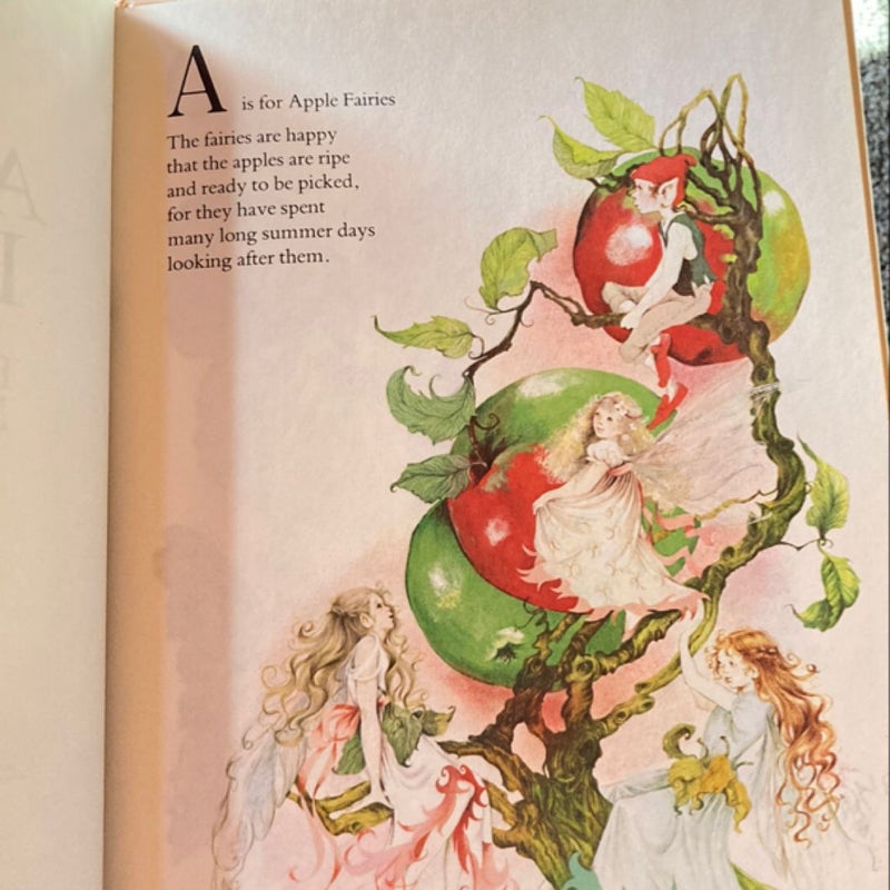 The Fairies Alphabet Book