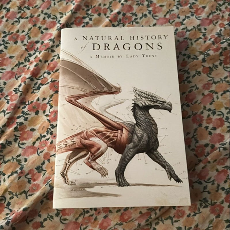 A Natural History of Dragons