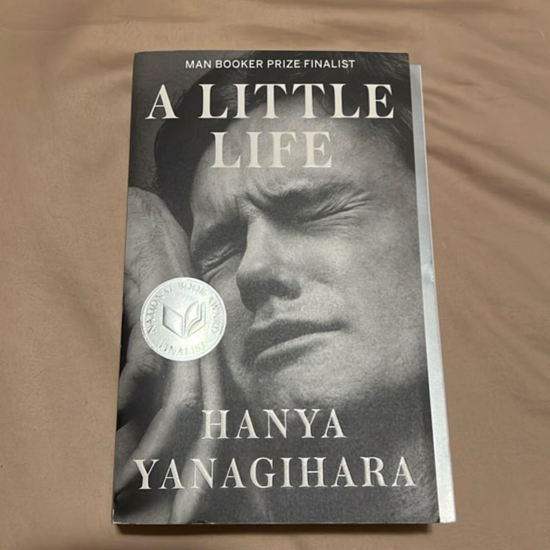 A Little Life