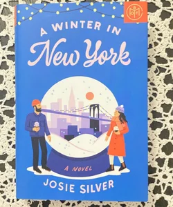 A Winter in New York