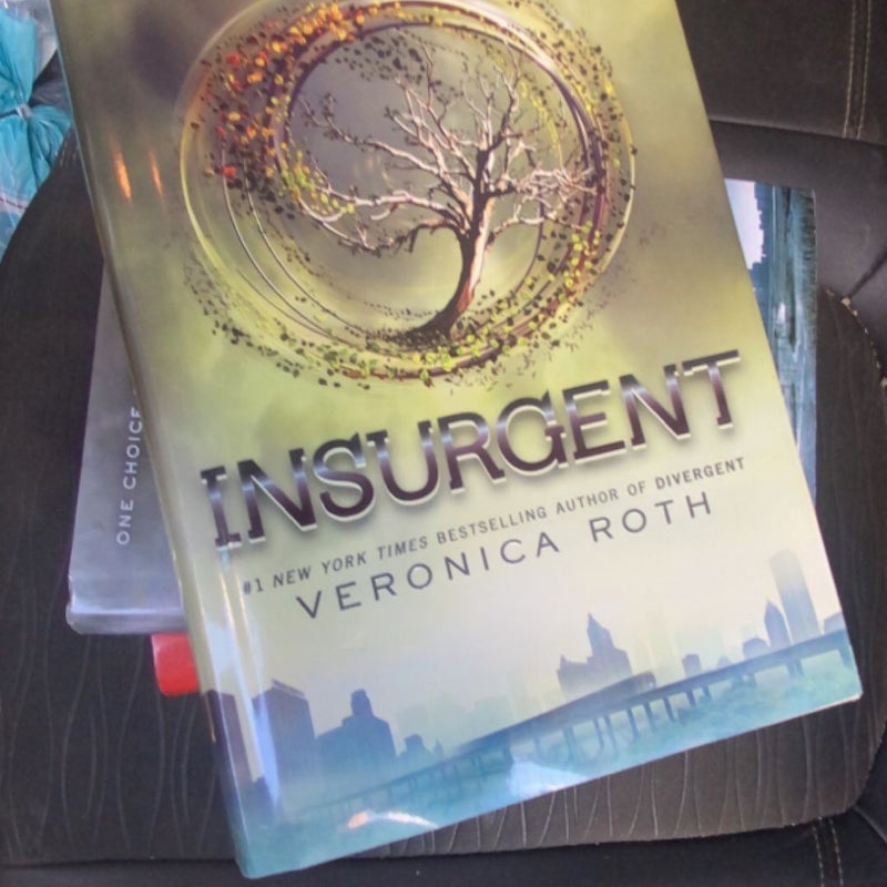 Divergent Series 