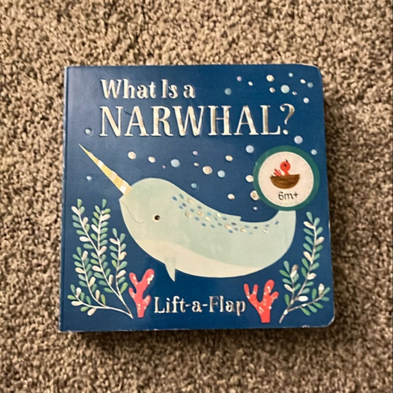 What Is a Narwhal?