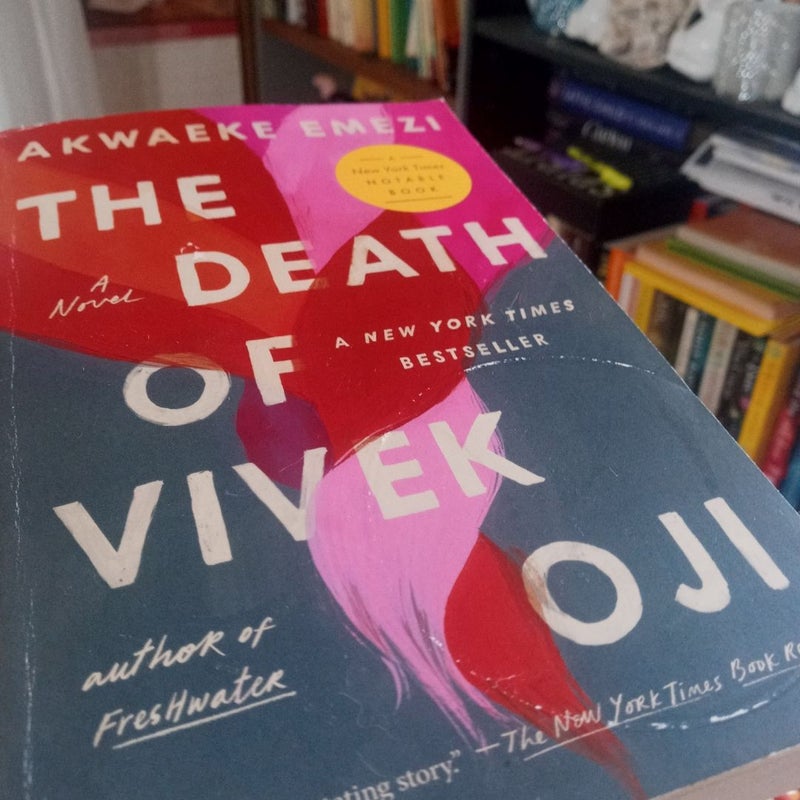 The Death of Vivek Oji