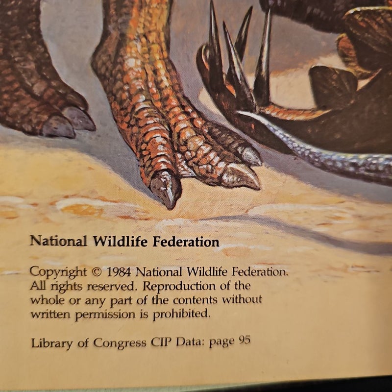 Ranger Rick's Dinosaur Book