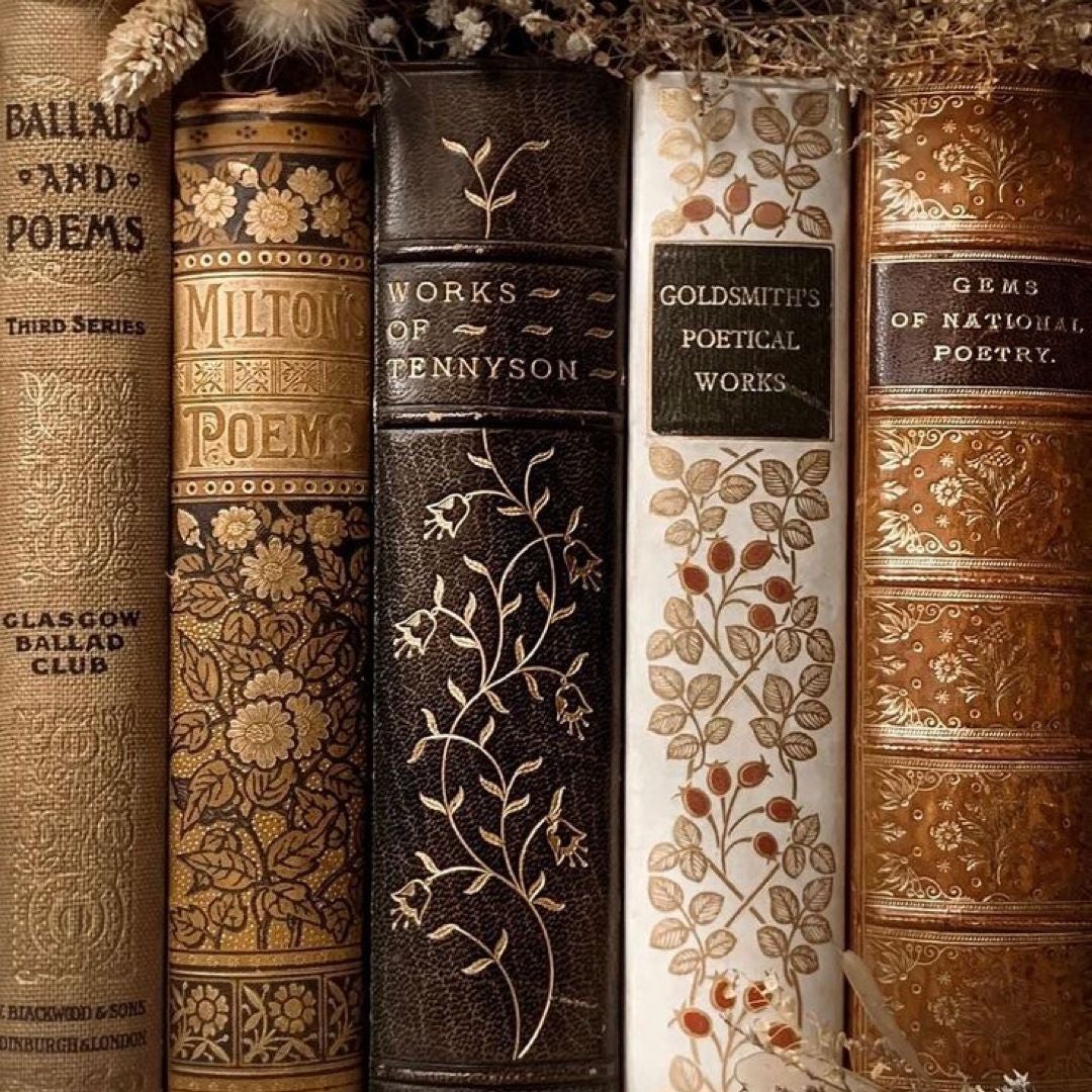 Ariel’s Bookshop