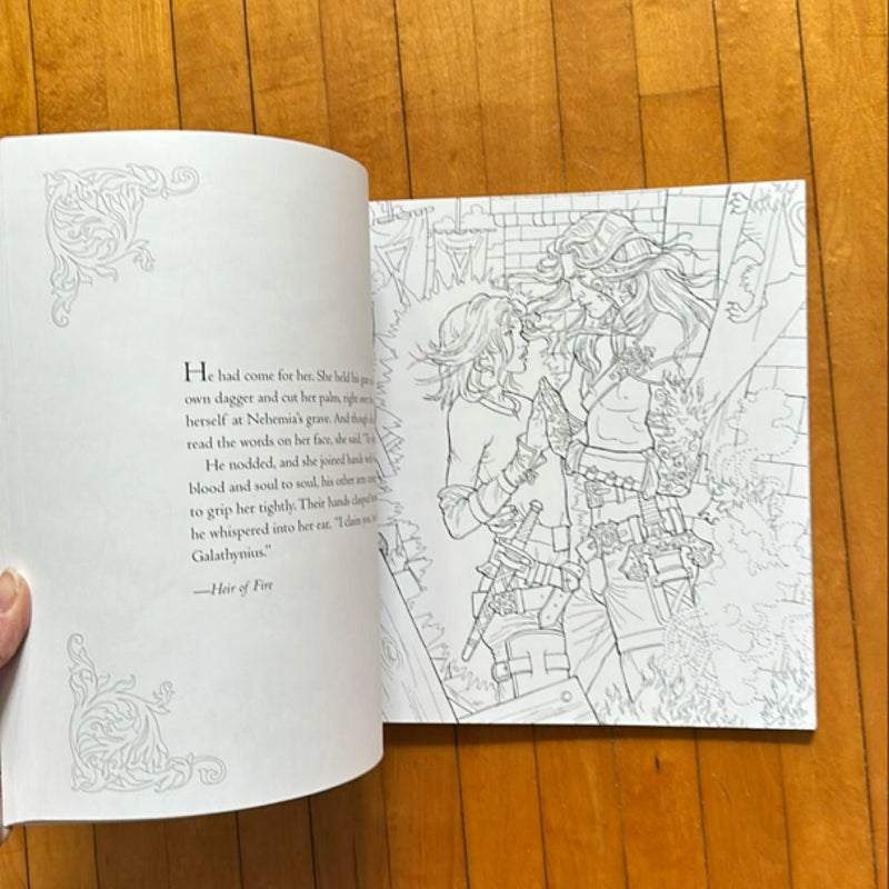 The Throne of Glass Coloring Book