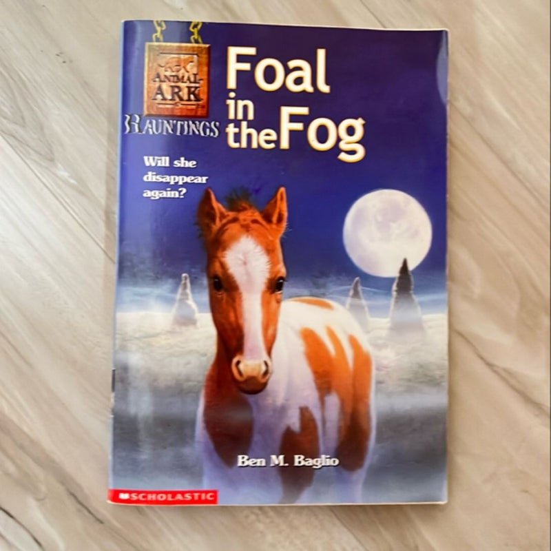 Foal in the Fog