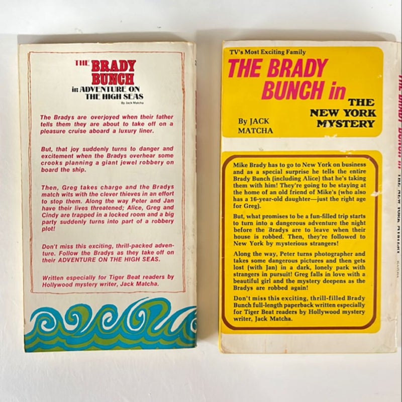 The Brady Bunch The New York Mystery & Adventure on the High Seas