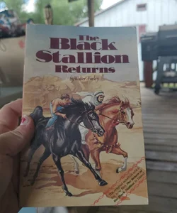 The black stallion returns 