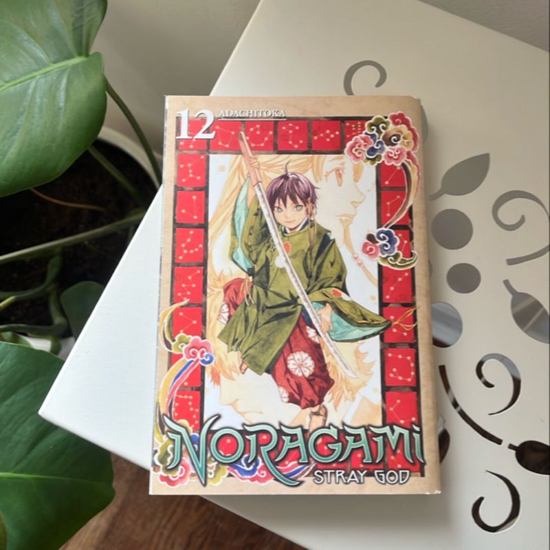 Noragami: Stray God 12