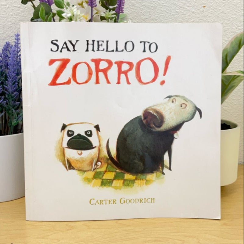 Say Hello To Zorro!