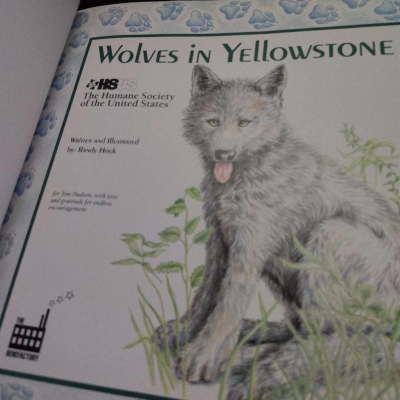 Wolves in Yellowstone