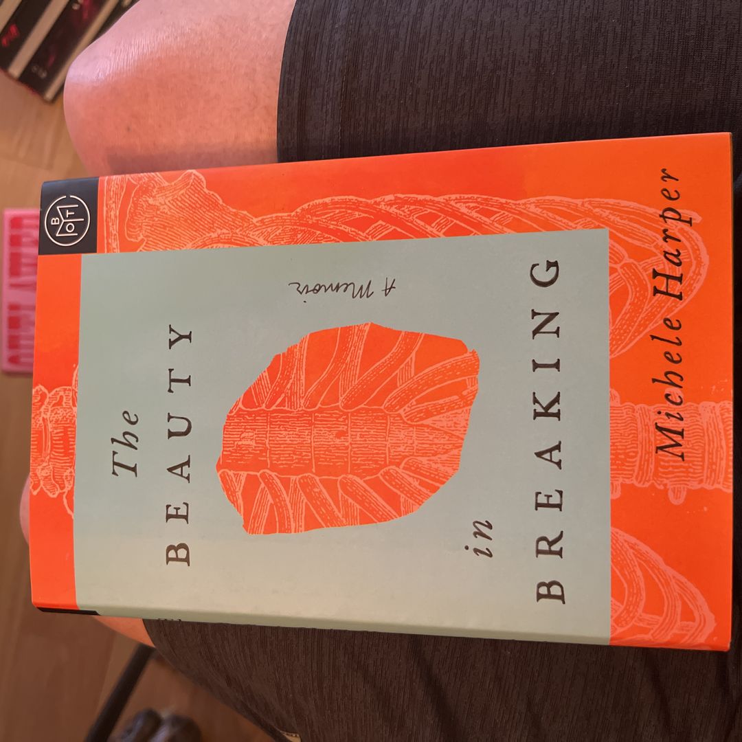 The Beauty in Breaking