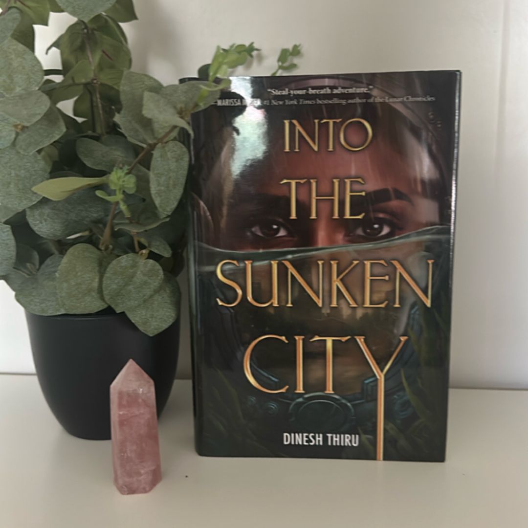 Into the Sunken City