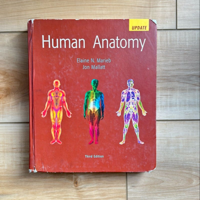 Human Anatomy Update