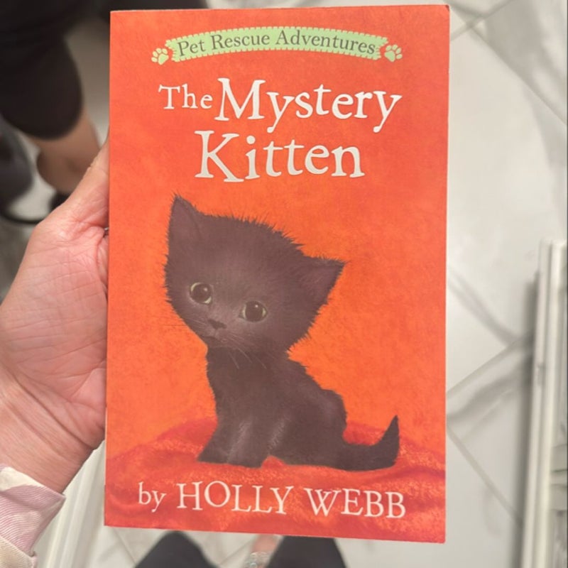 The Mystery Kitten