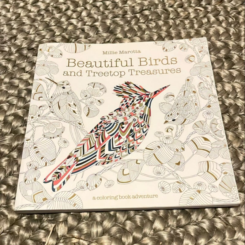 Beautiful Birds and Treetop Treasures