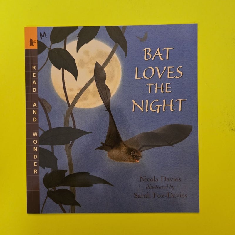 Bat Loves the Night