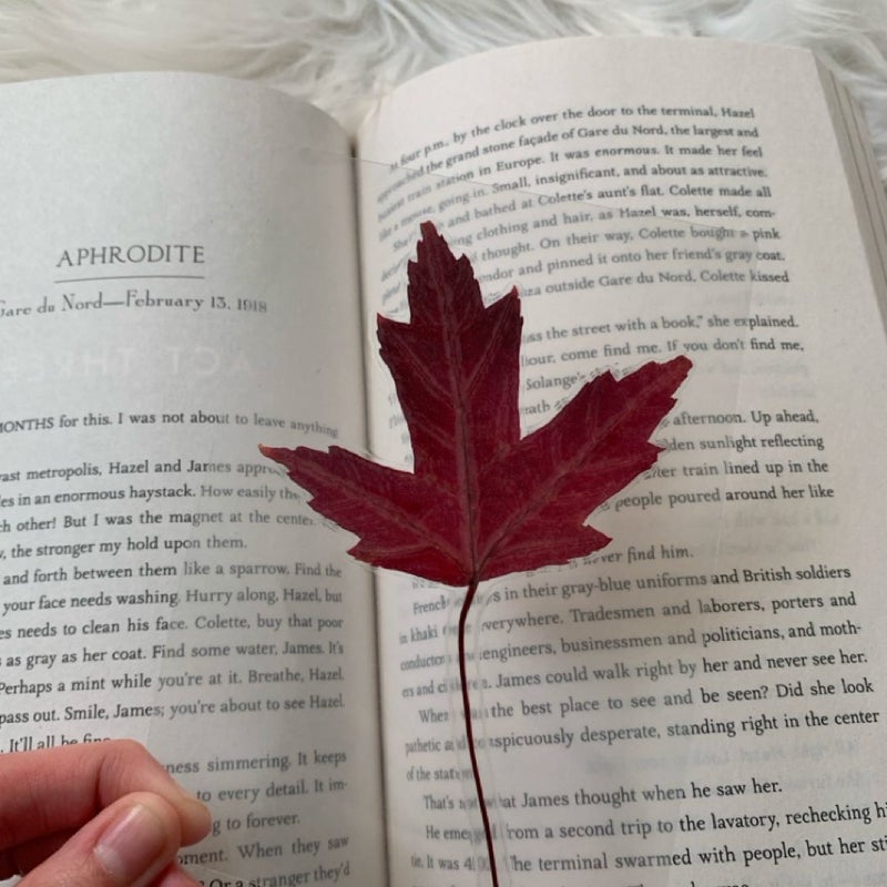 Handmade Real Pressed Red Leaf Bookmark