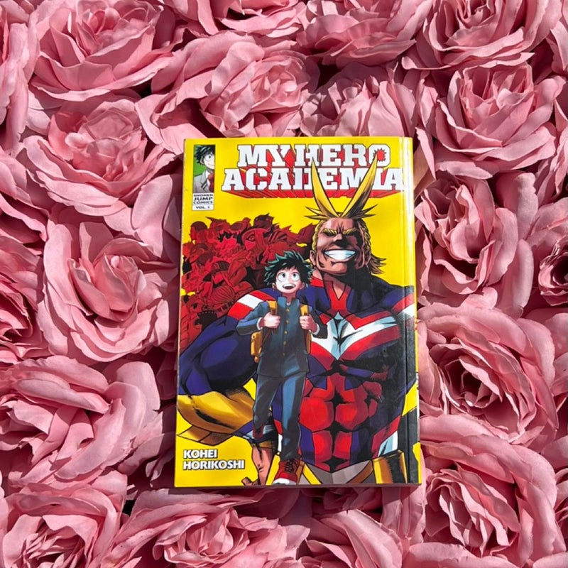 My Hero Academia, Vol. 1