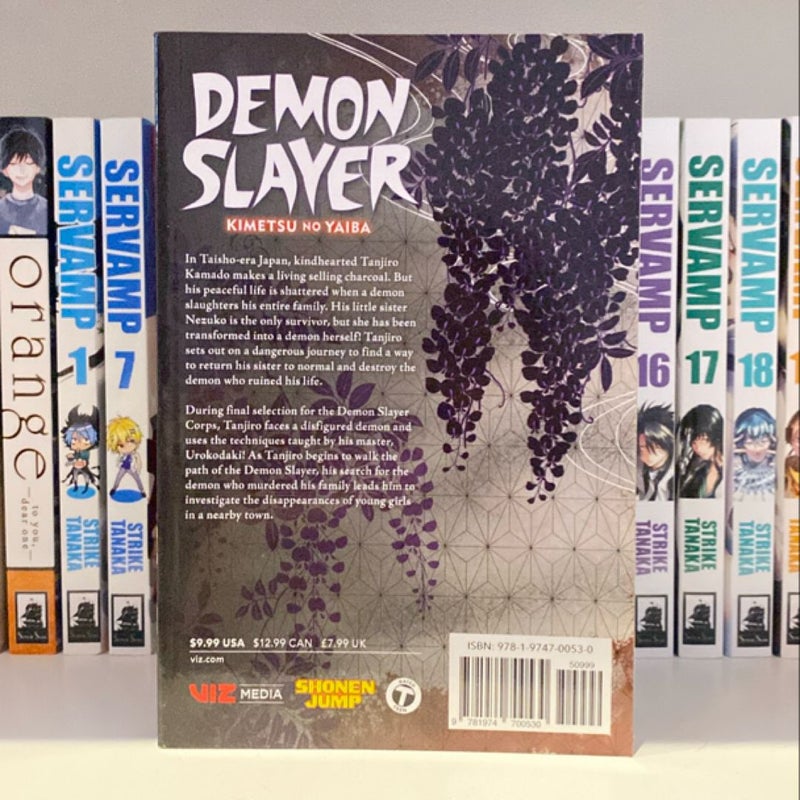 Demon Slayer: Kimetsu No Yaiba, Vol. 2