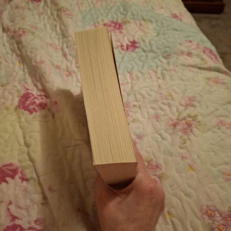 Nevermoor: the Trials of Morrigan Crow