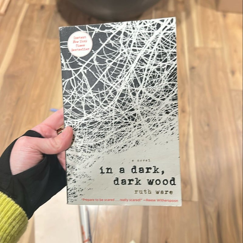 In a Dark, Dark Wood