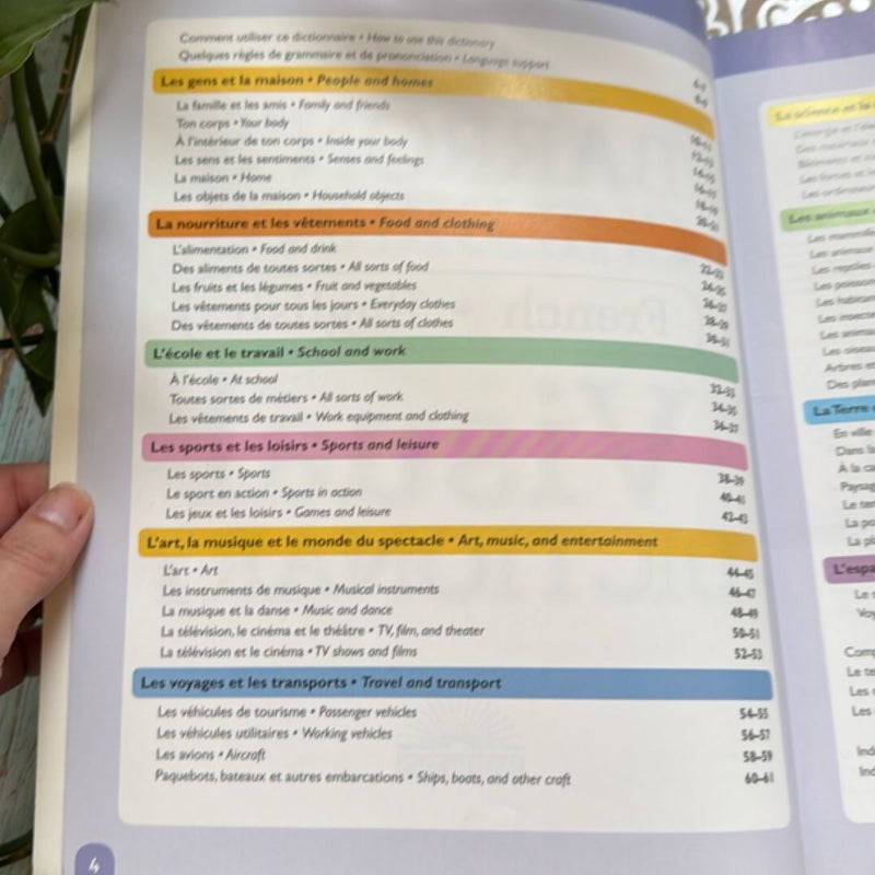 Children's Visual Dictionary: French-English