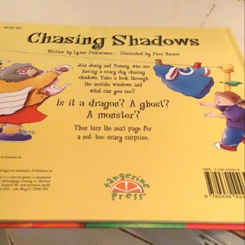 Chasing Shadows