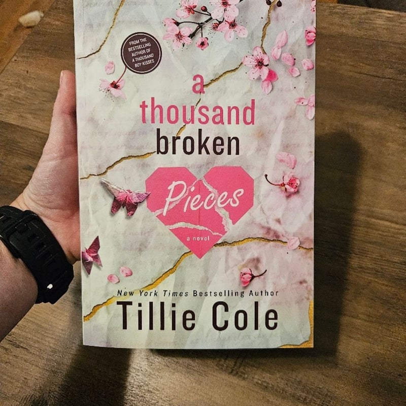 A Thousand Broken Pieces