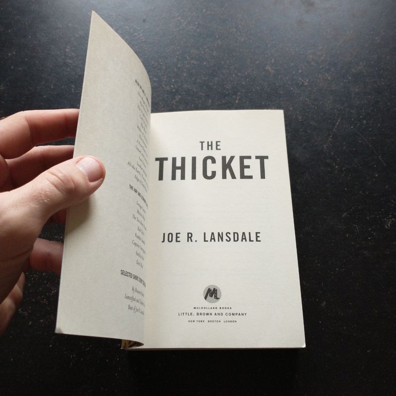 The Thicket