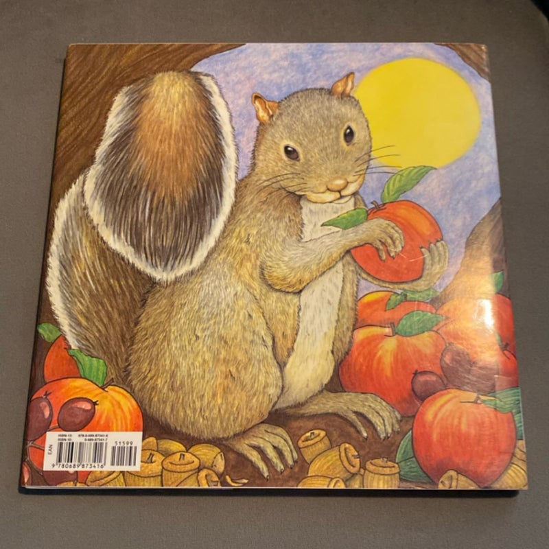 Busy Little Squirrel