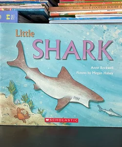 Little Shark