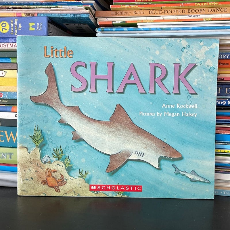 Little Shark