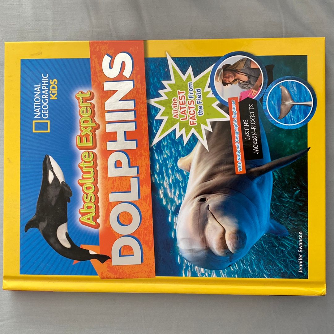 Absolute Expert: Dolphins